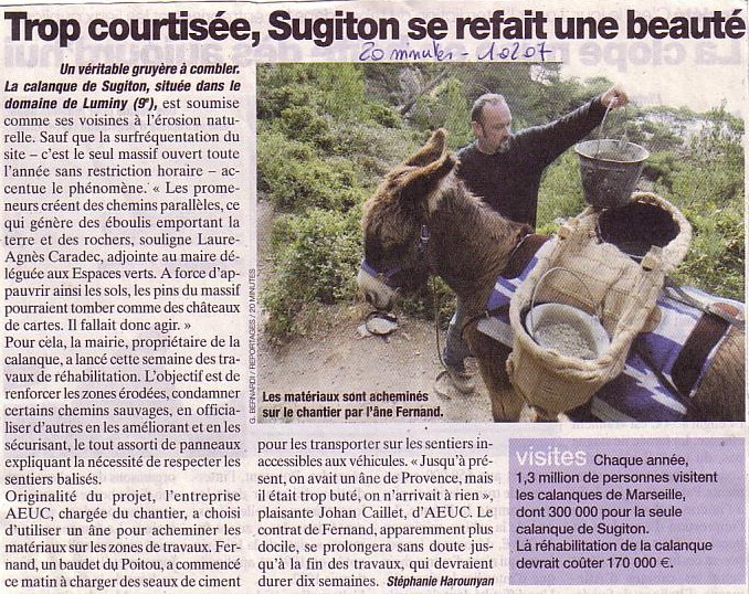 Lire la suite à propos de l’article Un âne pour entretenir les calanques