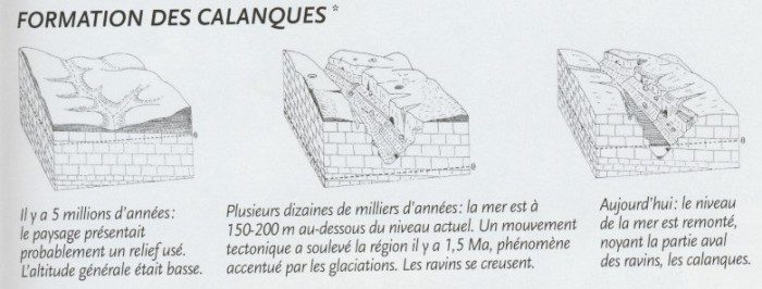 formation des calanques