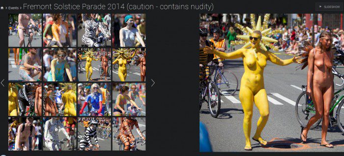 Freemont solstice parade