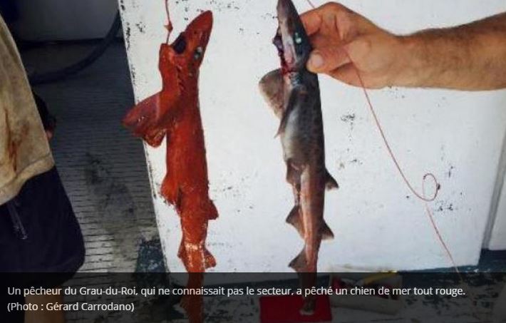 You are currently viewing Enquête publique sur les boues rouges de Cassis