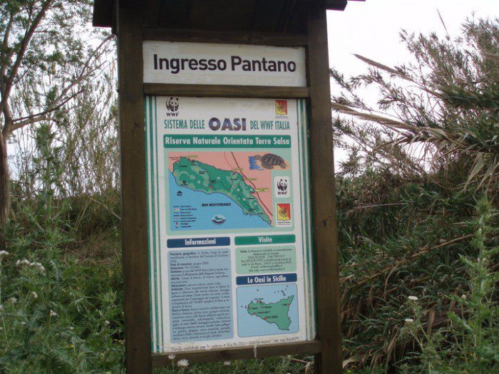 37226_106851086033116_100001246762484_51865_612715_n