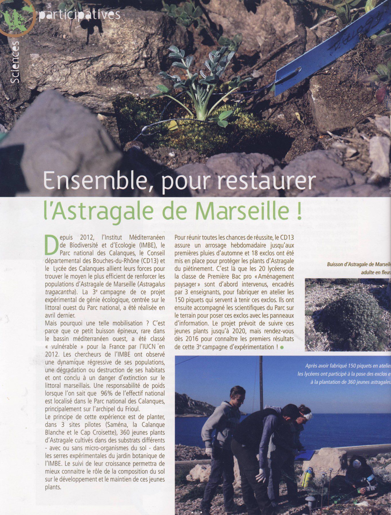 Scan21094
