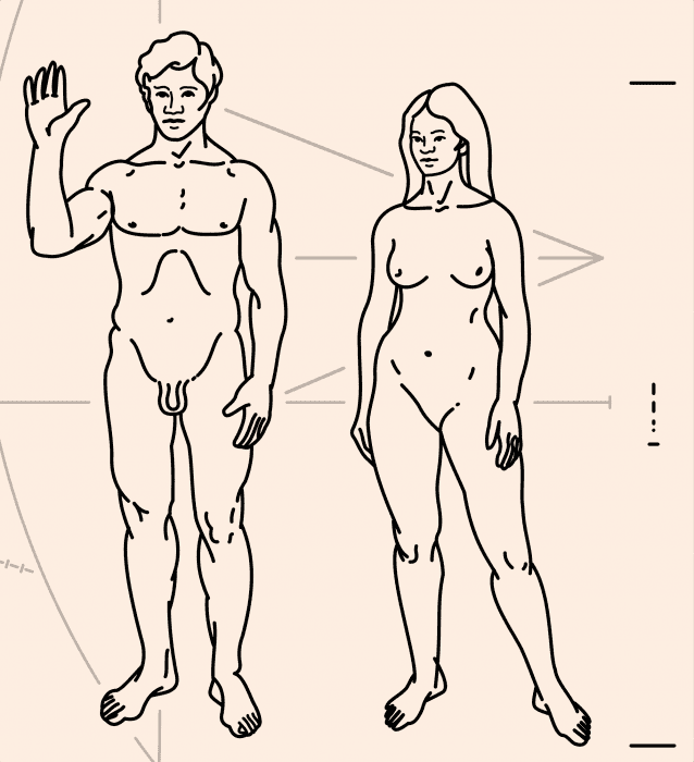 2000px-Pioneer_plaque_humans.svg