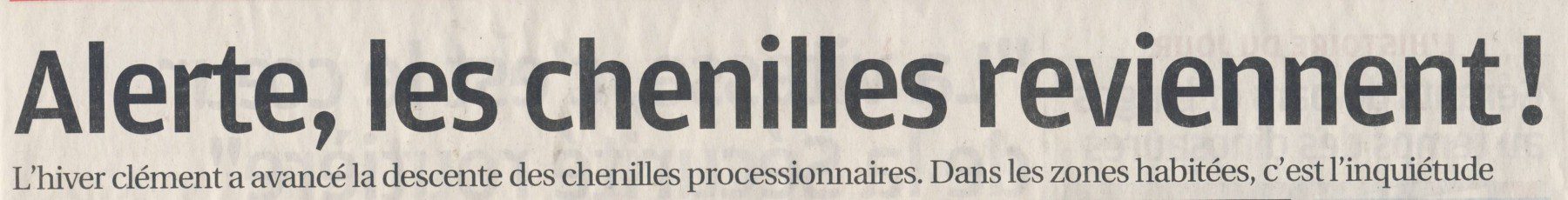 Les chenilles - la provence 23.02.2016