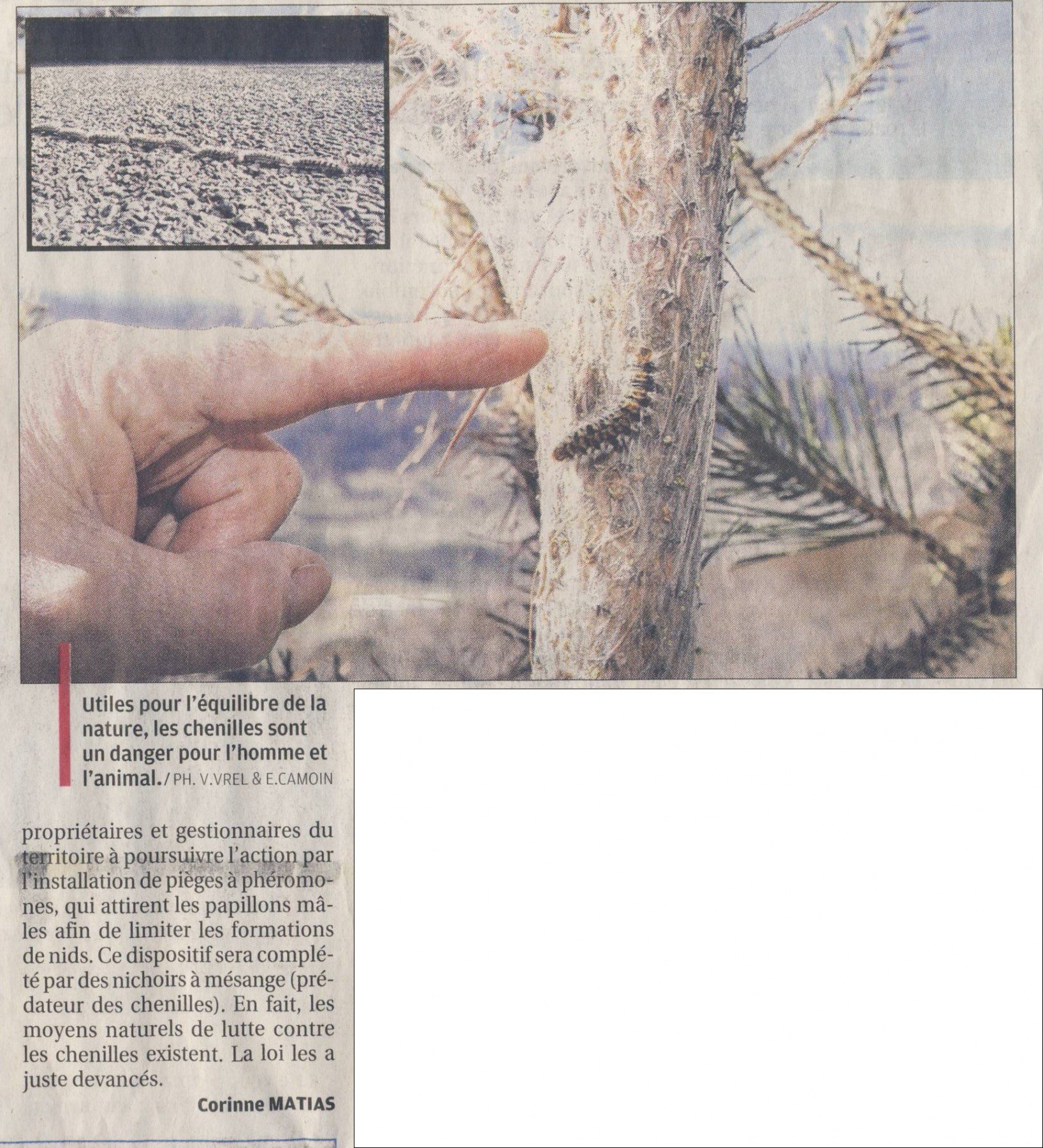 Les chenilles3 - la provence 23.02.2016