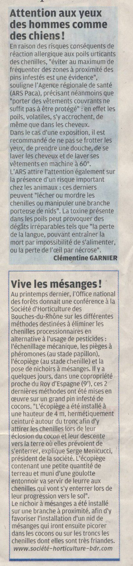 Les chenilles6 - la provence 23.02.2016