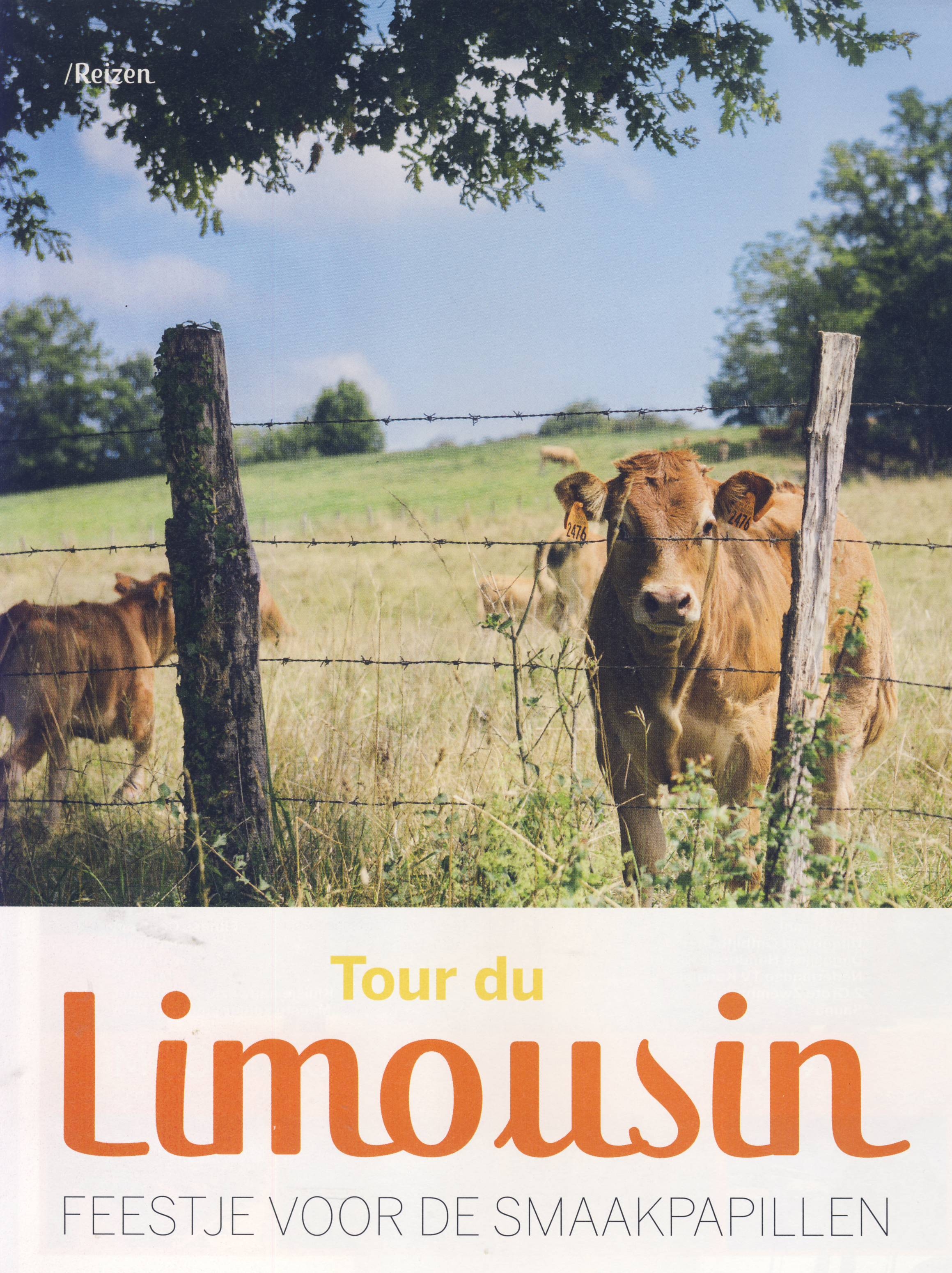 You are currently viewing Le Limousin à l&rsquo;honneur dans un magazine naturiste Hollandais (désolé l&rsquo;article est en Hollandais)