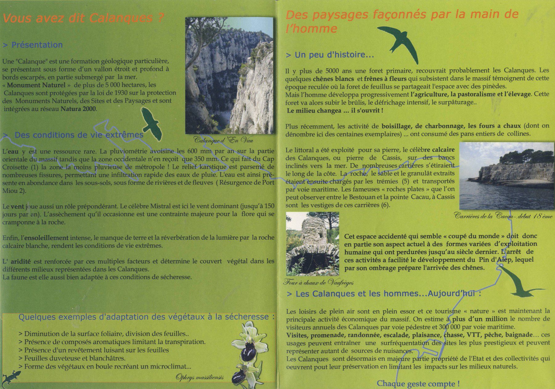 Scan21122