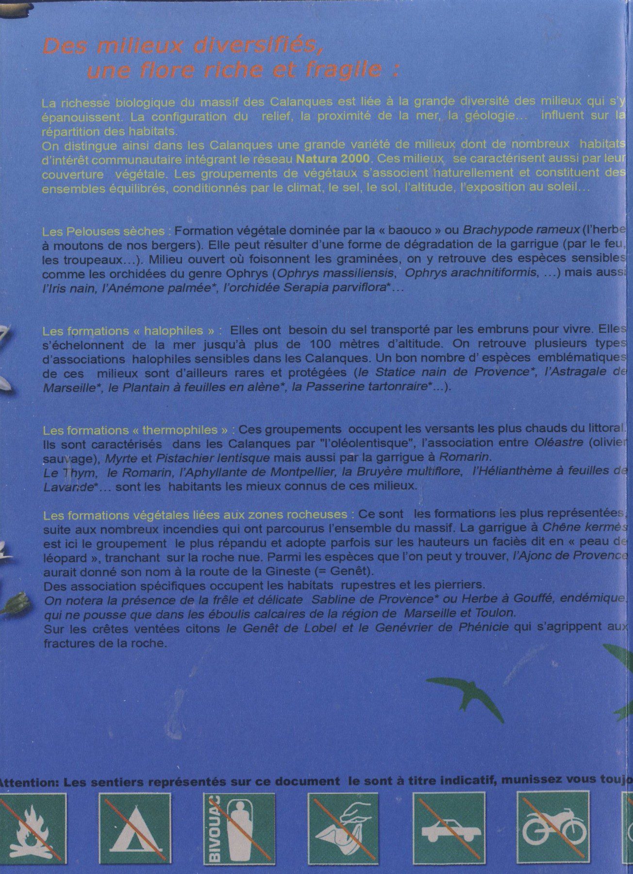 Scan21127