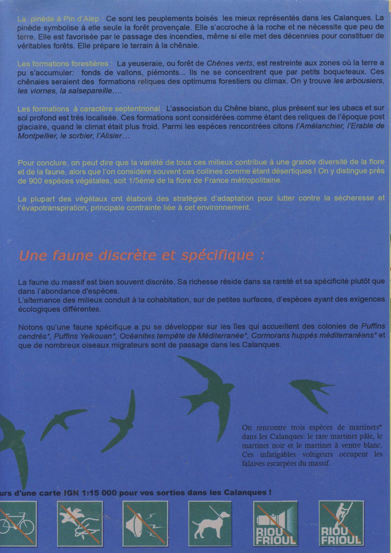 Scan21127a