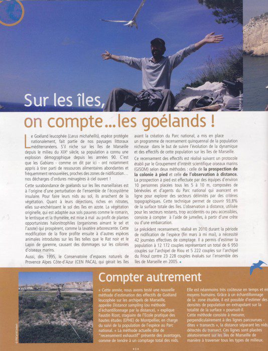 Lire la suite à propos de l’article Comptage des goélands sur les îles des Calanques